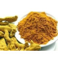 Poudre de curcuma de vente chaude pour le marché global